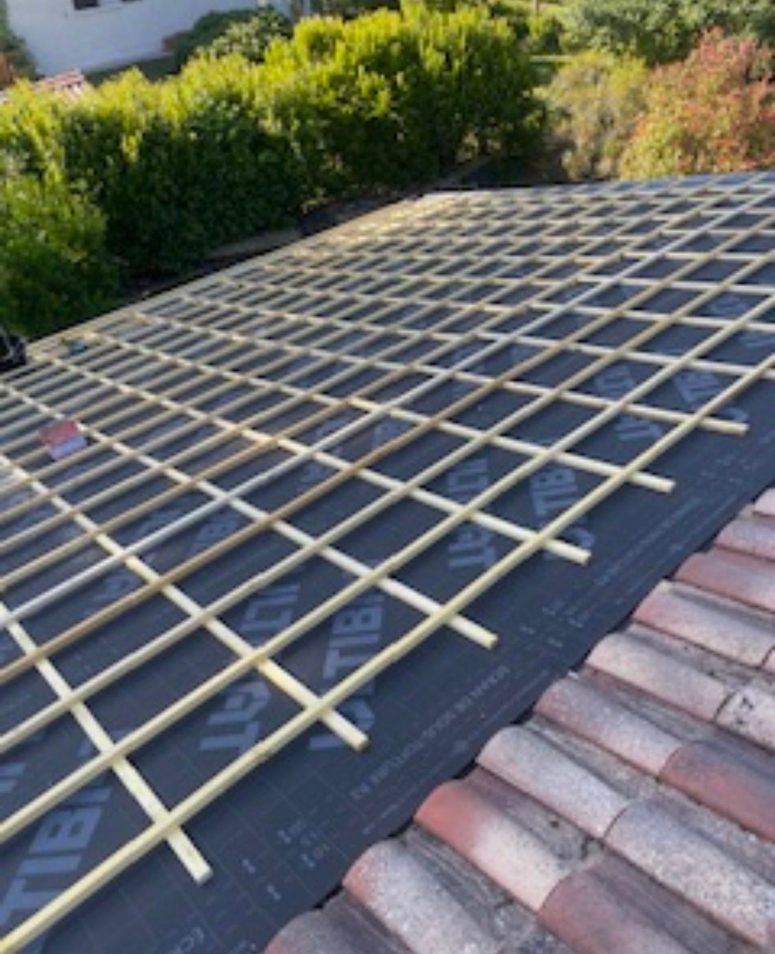 WhatsApp Image 2025-11-12 at 10.08.51 dépose de l’ensemble de la couverture